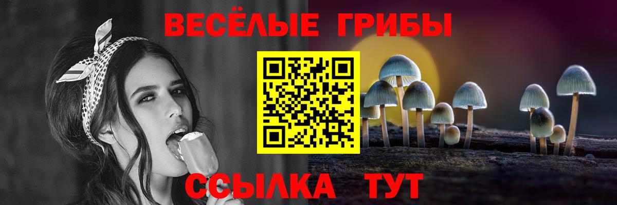 Галлюциногенные грибы Cubensis  Вход с VPN  Ессентуки  Галлюциногенные грибы Psilocybe 